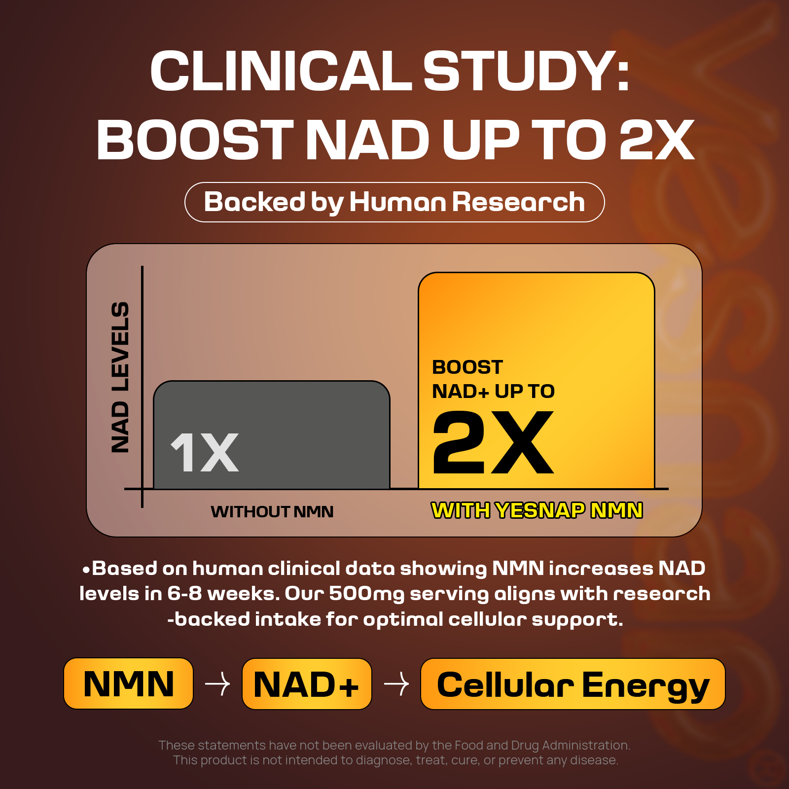 YESNAP NMN + Resveratrol 1,220mg | 8-in-1 Energy & Shape Support | 30 Packets